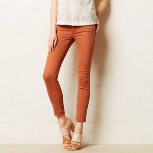 AG the Stevie ankle: slim straight ankle in rust